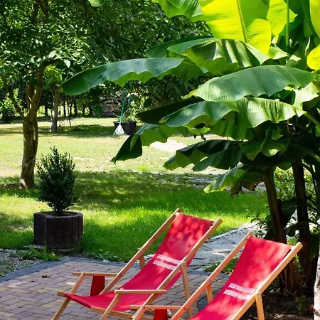 Salus Spreewald - Erholung & Natur - Kolonie  Extérieur photo