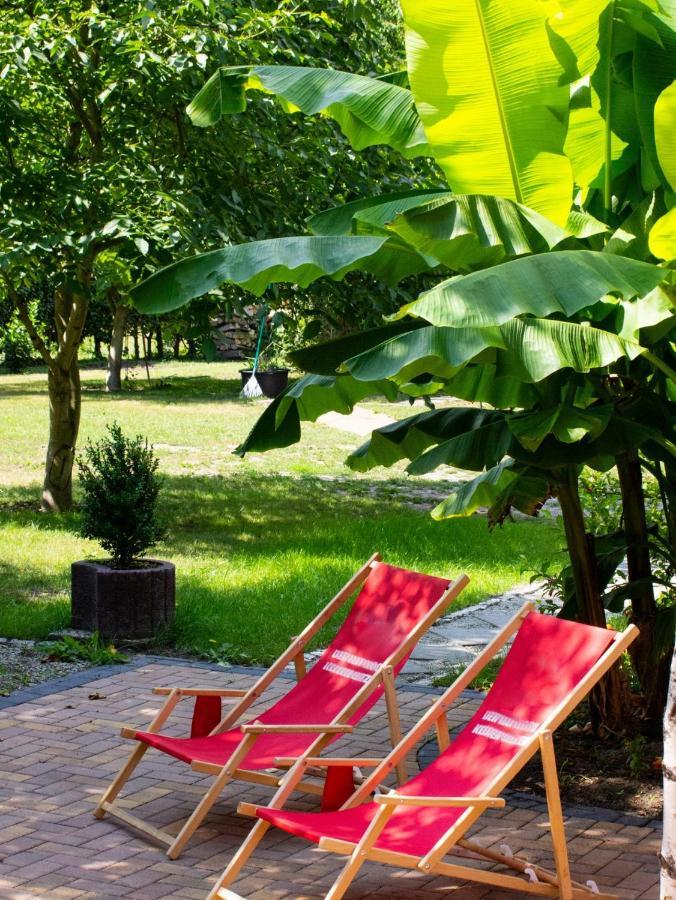 Apartment Salus Spreewald - Erholung & -