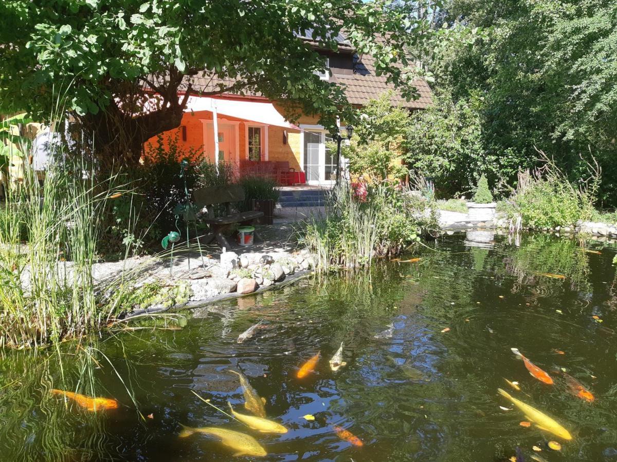 Apartment Salus Spreewald - Erholung & -